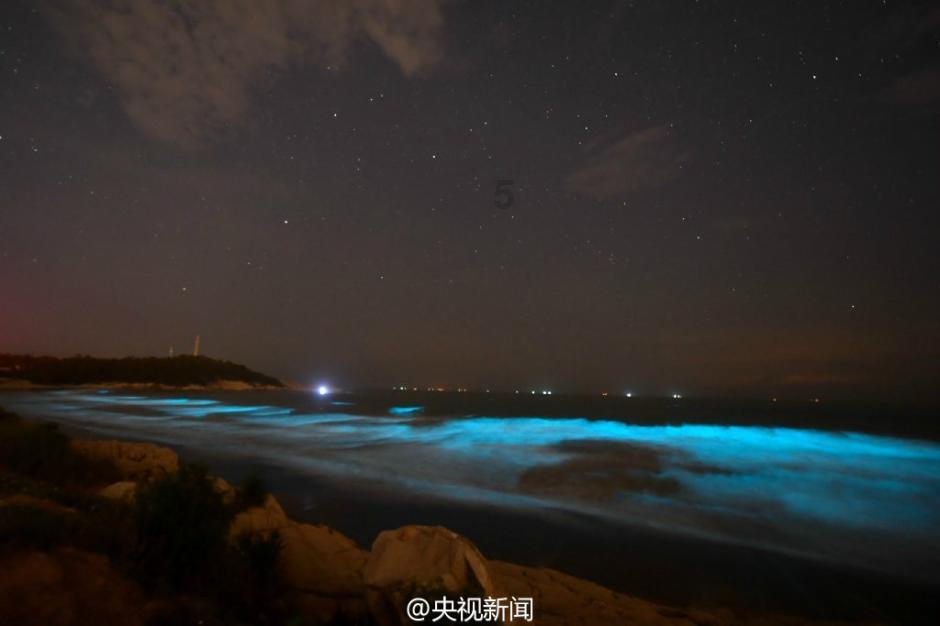 探索天涯,畅谈爸爸加班特别累,当他回家时我可以为他做什么?