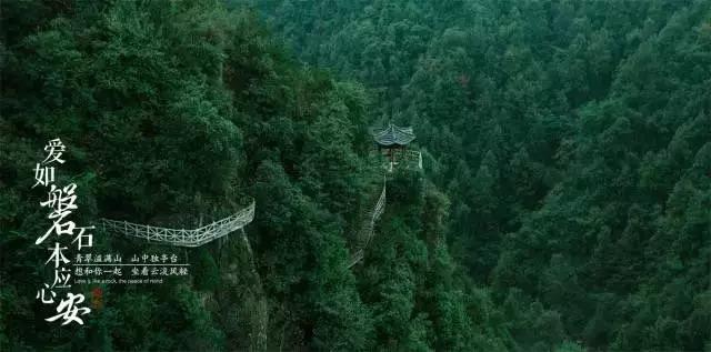 春雨直播app