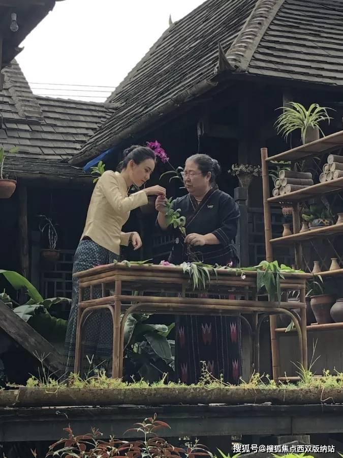 全民剧本大师内置菜单