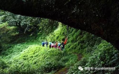 寂静森林找星星