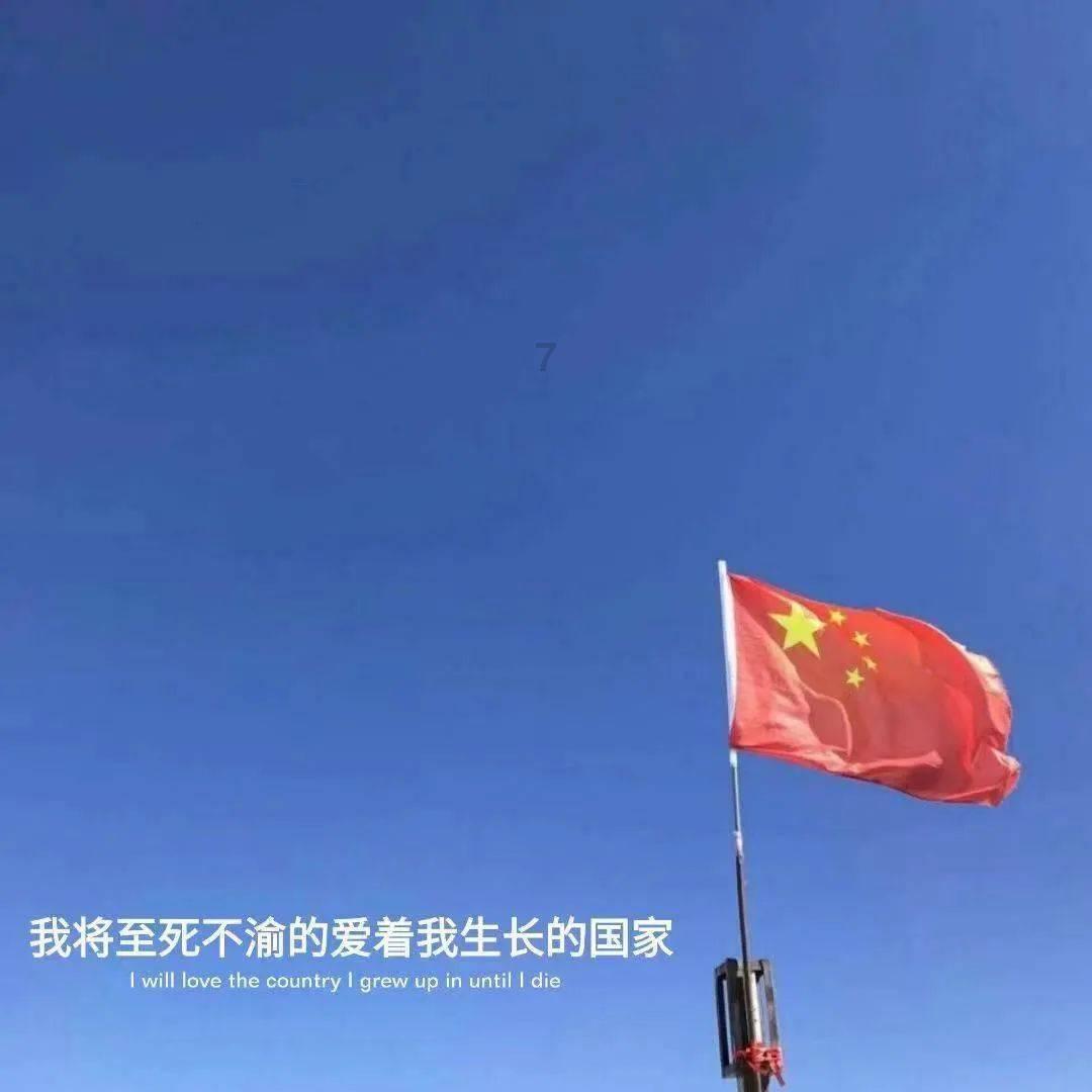 月光影视