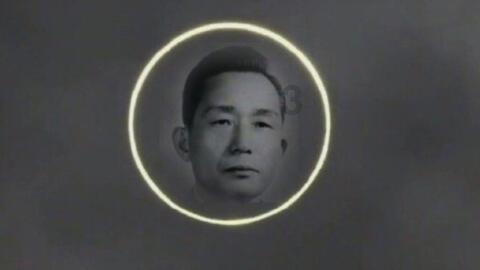 全民烧脑3去广告版