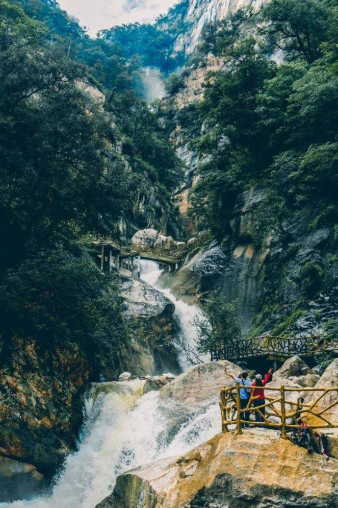 小仓鼠吃瓜子