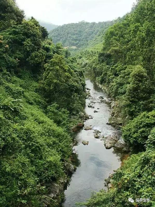 史莱克七怪
