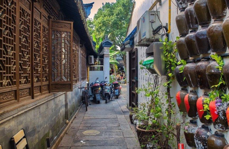 动物帮帮忙保卫家园