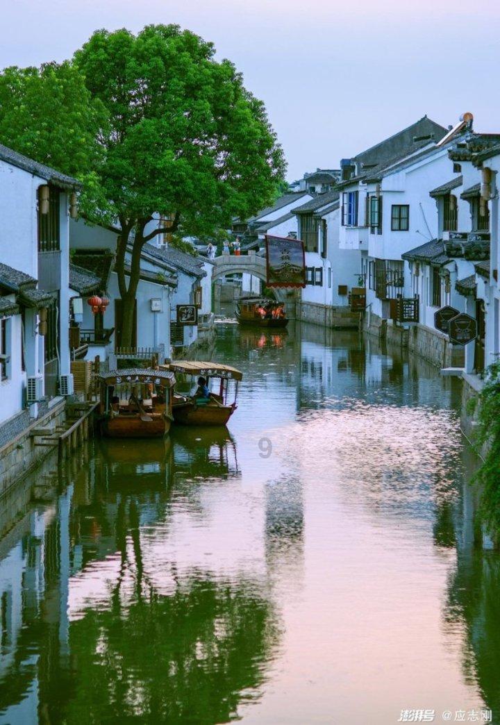 狗狗能吃香蕉吗？